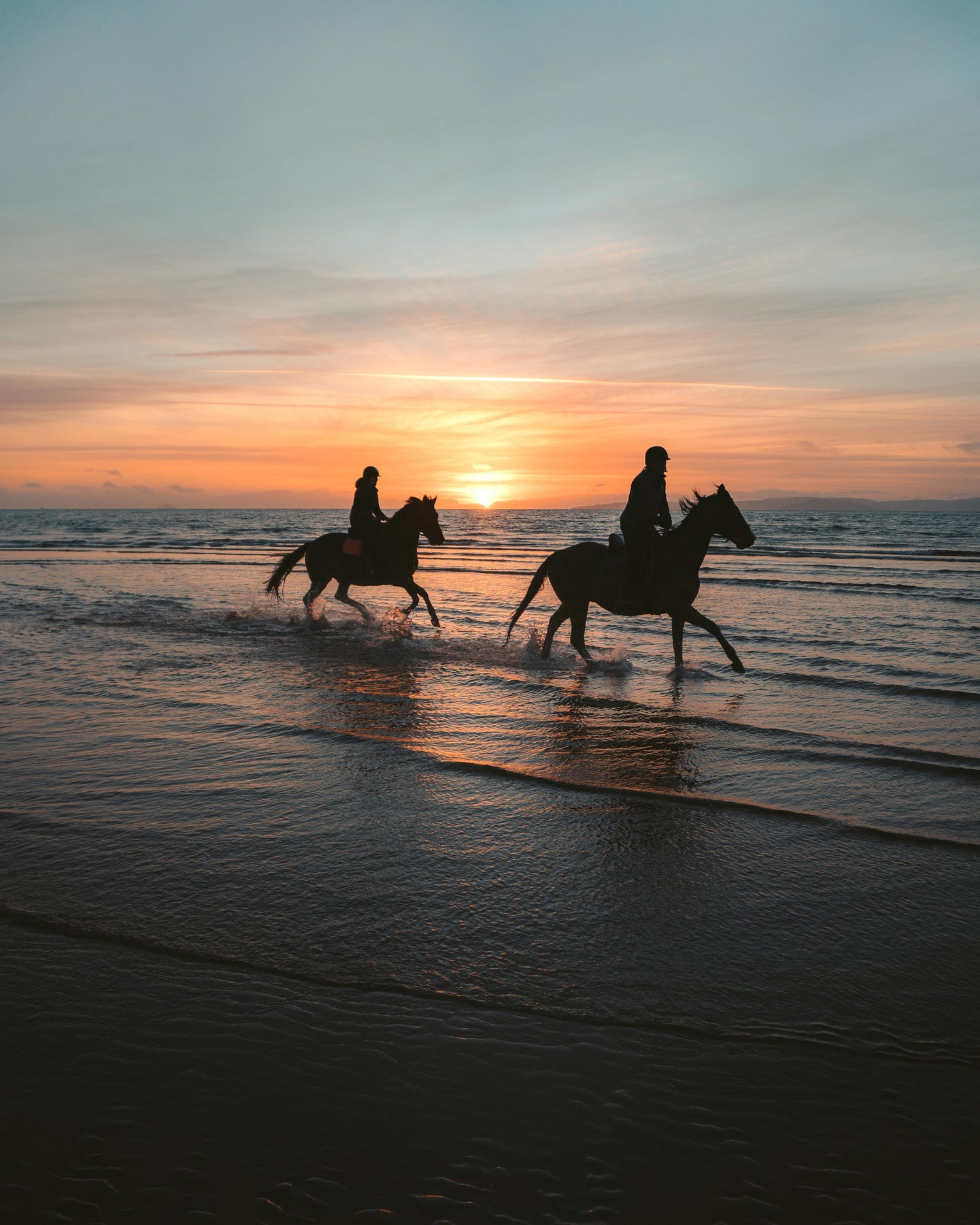 Equestrian rider in New Zealand landscape, supported by local equine supplements