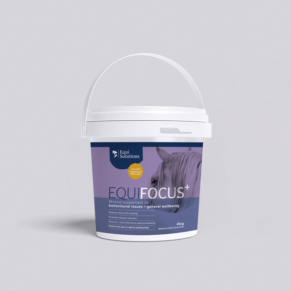 EquiFocus Plus 4kg bucket. Premium New Zealand equine mineral supplement for calmness and focus