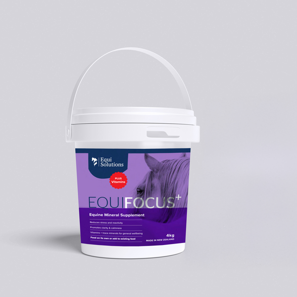 EquiFocus Plus 4kg bucket. Premium New Zealand equine mineral supplement for calmness and focus