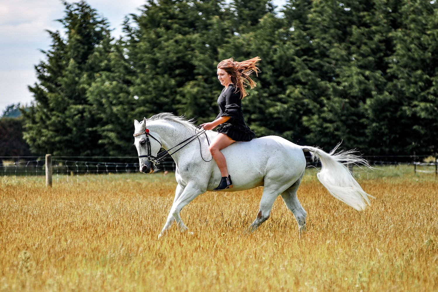 Horse rider with calm, focused horse