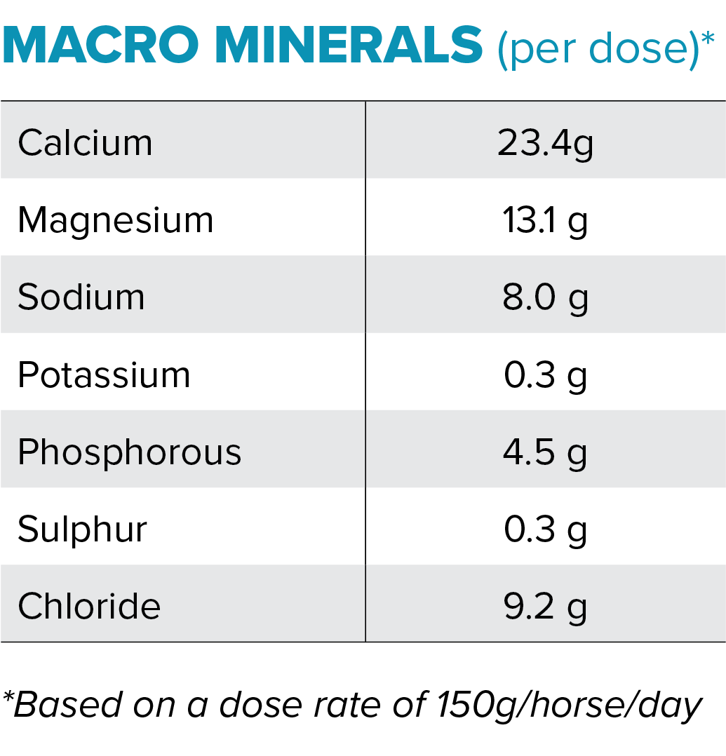 EquiFocus Macro Minerals data per dose