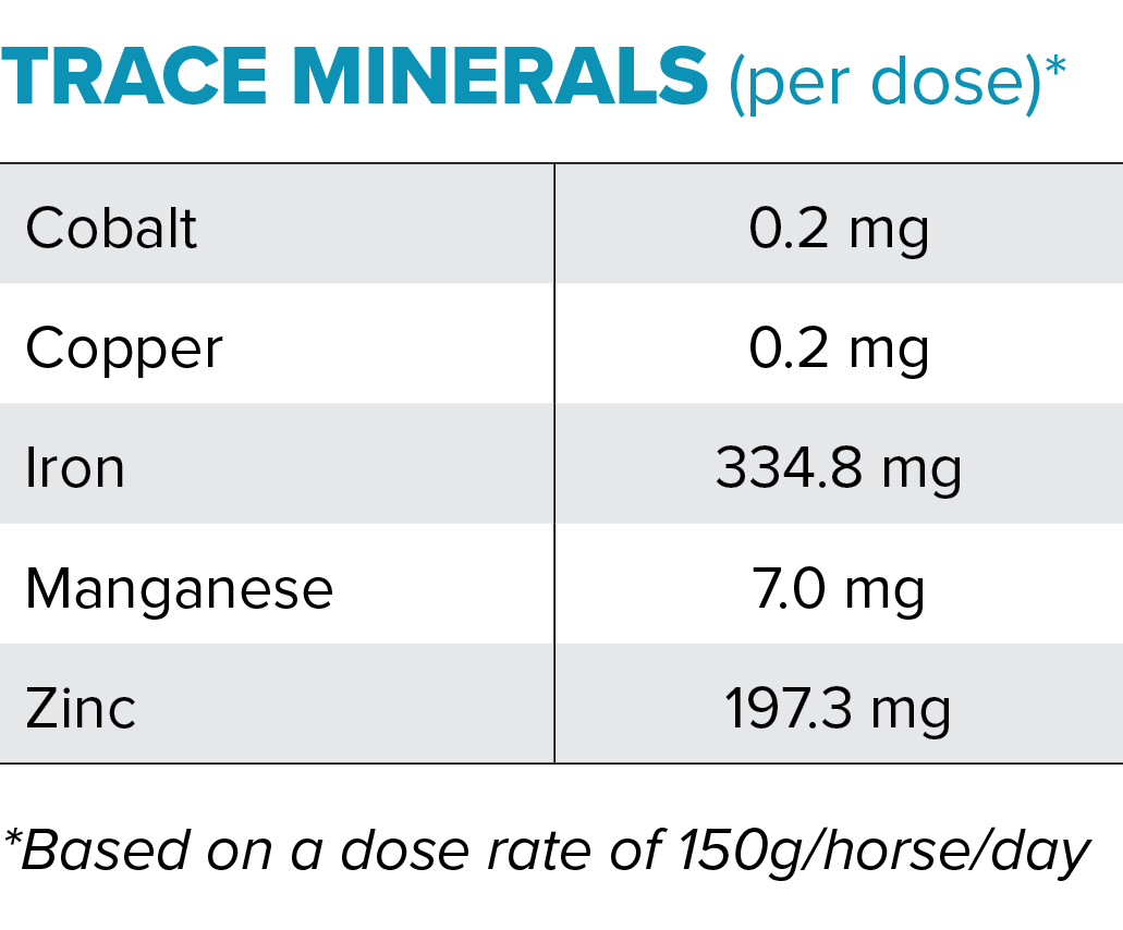EquiFocus Trace Minerals data per dose